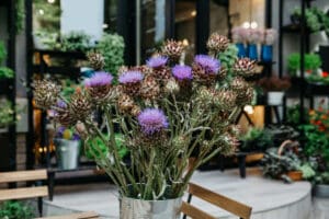 artichoke recipes