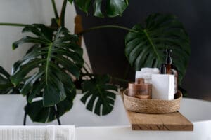 plant home decor