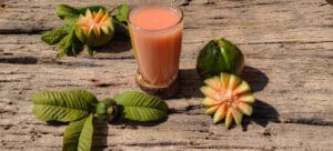 guava leaf tea