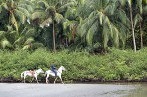Belize resorts